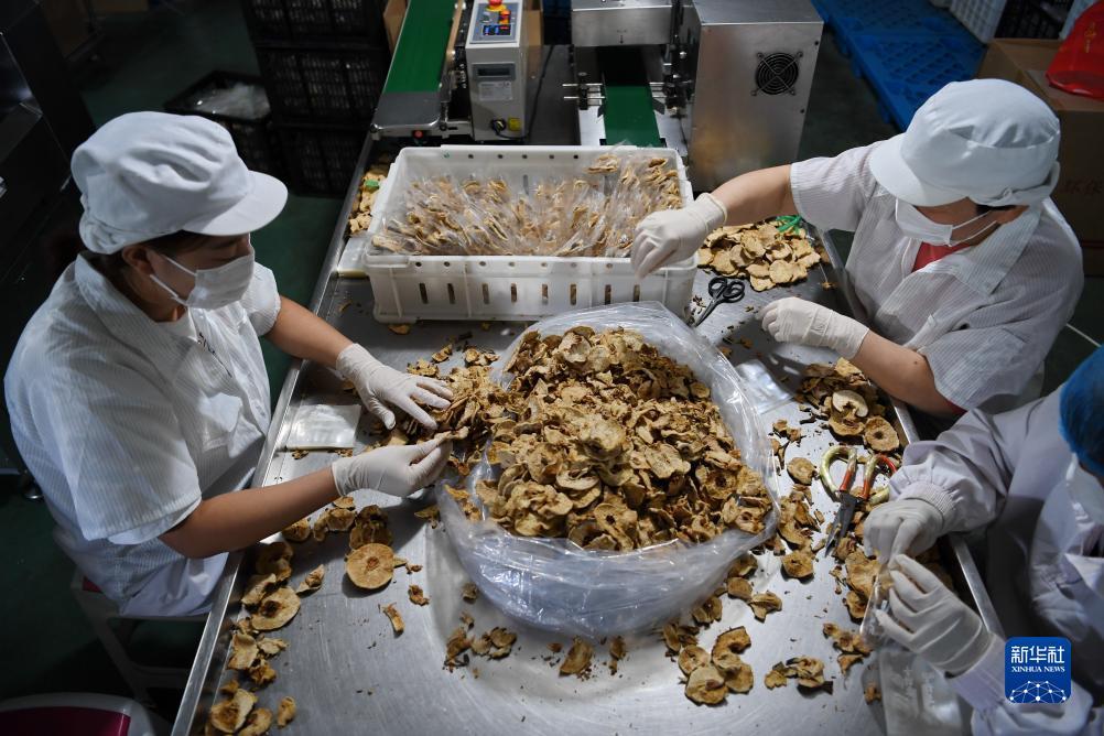 百家乐论坛